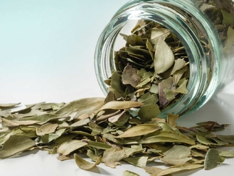 Curry Leaves - Foglie di Curry 100g