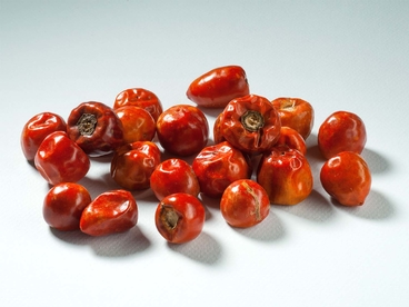 Peperoncino Indian Pearl 20g