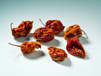 Peperoncino Habanero Red Savina Intero 10g