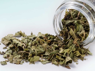 Verbena odorosa 250g