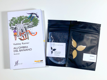 CAMBOGIA - ALL\'OMBRA DEL BANIANO