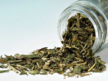 Asperula Odorosa 10g