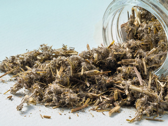 Assenzio Pontico 20g - PROMO