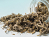 Assenzio Pontico 20g - PROMO