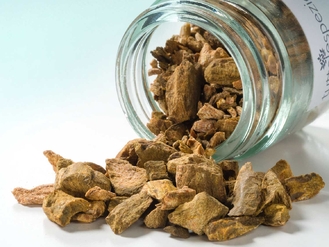 Rabarbaro Rizoma 1000g