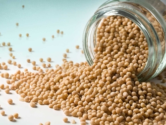 Senape Gialla in Grani 50g - PROMO