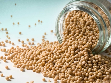 Senape Gialla in Grani 50g - PROMO
