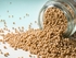 Senape Gialla in Grani 50g - PROMO