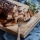 New Orleans Pulled Pork
