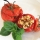 POMODORI RIPIENI CON PEPERONCINO