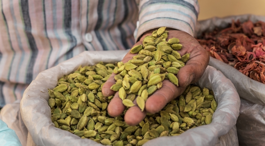 IL CARDAMOMO, LA PERLA VERDE DELLE FORESTE TROPICALI