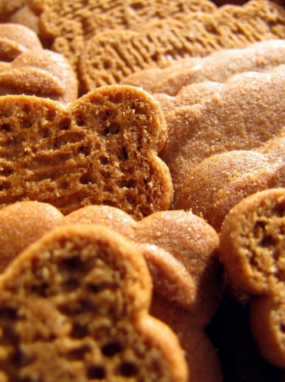 Speculoos